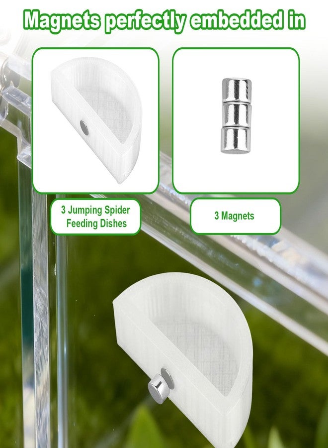 Fukaisu 3pcs Jumping Spider Water Bowl with Magnetic, Leak-Proof Jumping Spider Food Feeding Dispenser Dish Enclosure Decor Accessories for Tarantula Mantis Small Reptiles and Pets (Half Round) - Image 3
